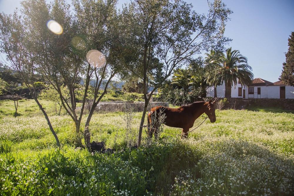 Отель La Casona Del Patio Сантъяго-дель-Тейде Экстерьер фото